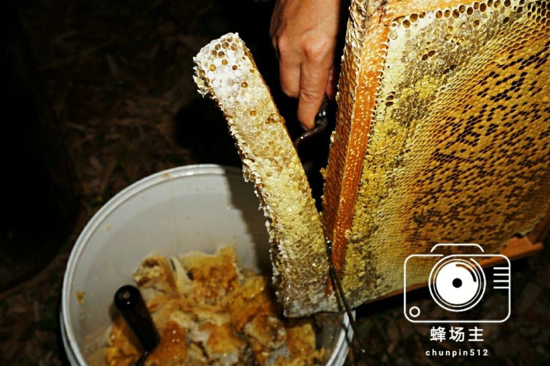 晚餐•2019年4月25日