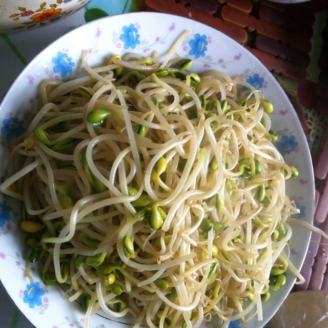 素炒黄豆芽