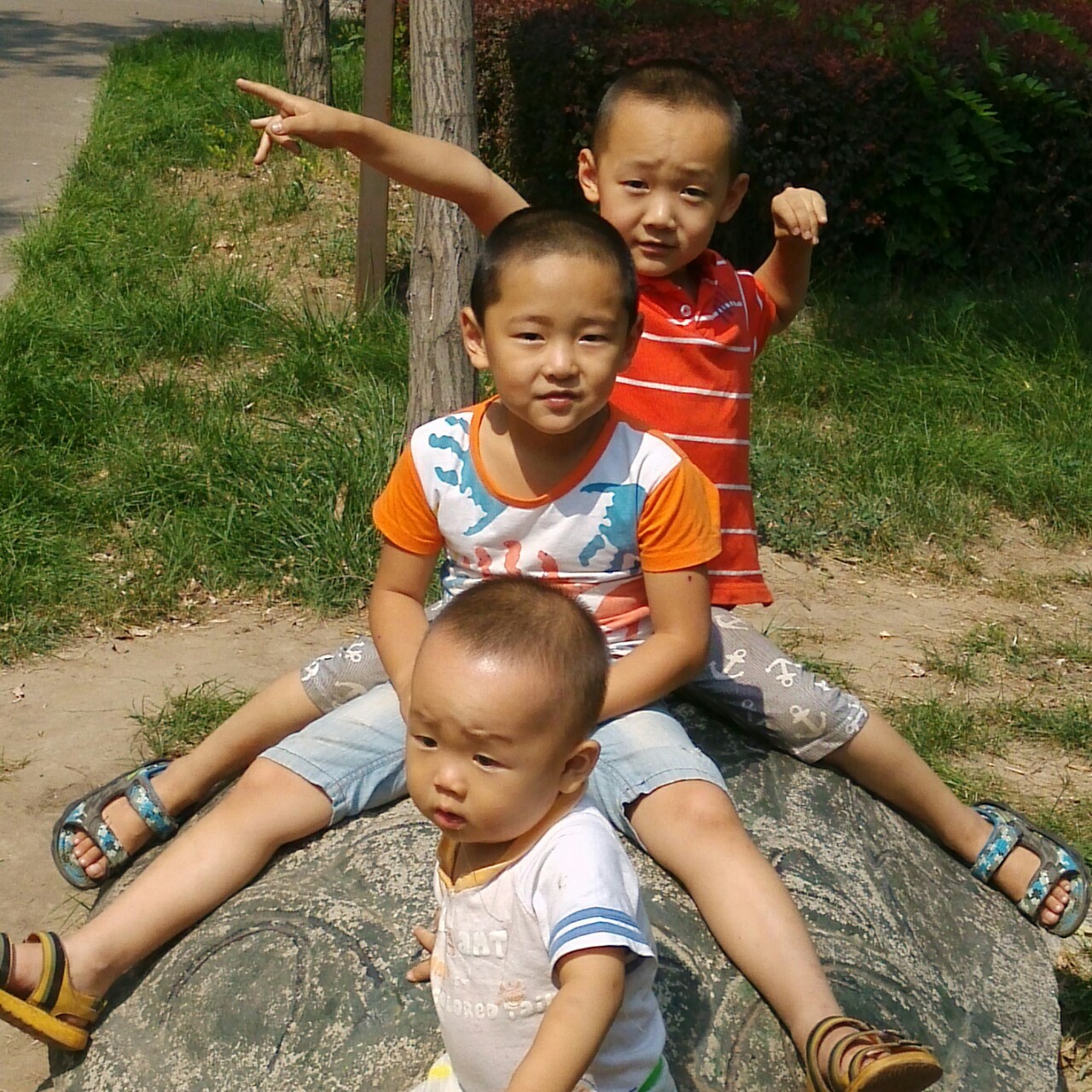 卫羊羊