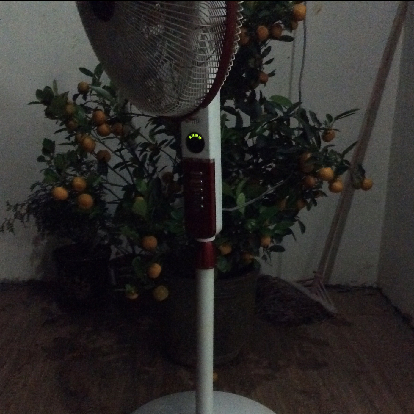 某一天_qo53