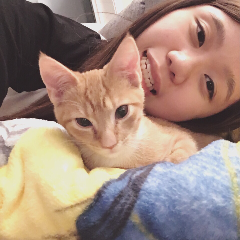 yanyanyanyentl