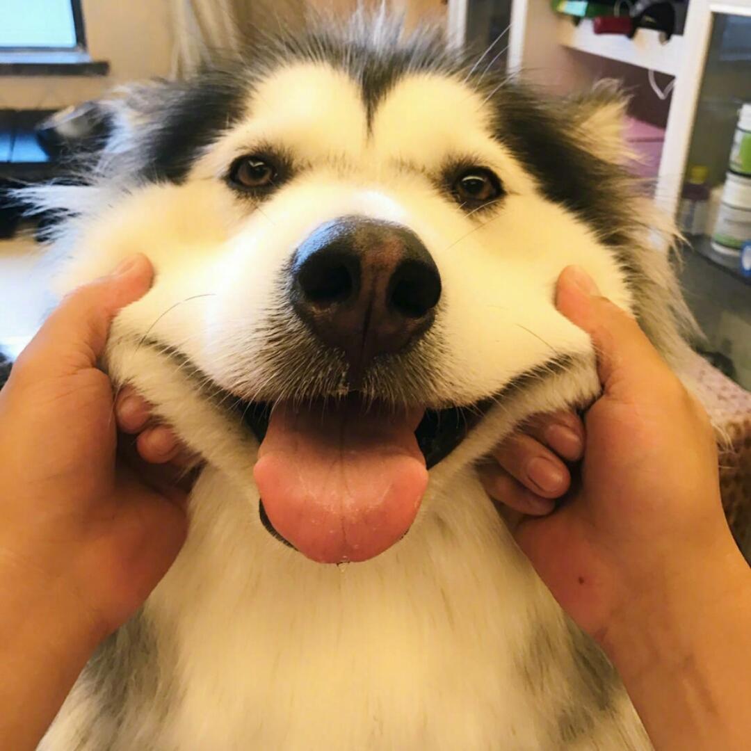 蹦蹦跳跳的彩虹糖