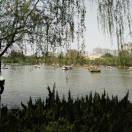 手机用户8167_ersh