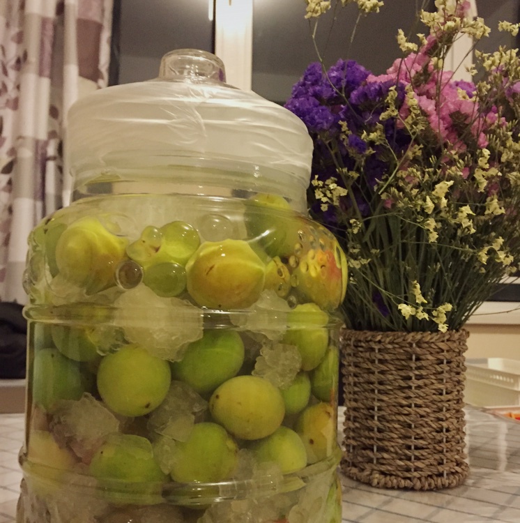 青梅酒（优的春日私酿第二話）