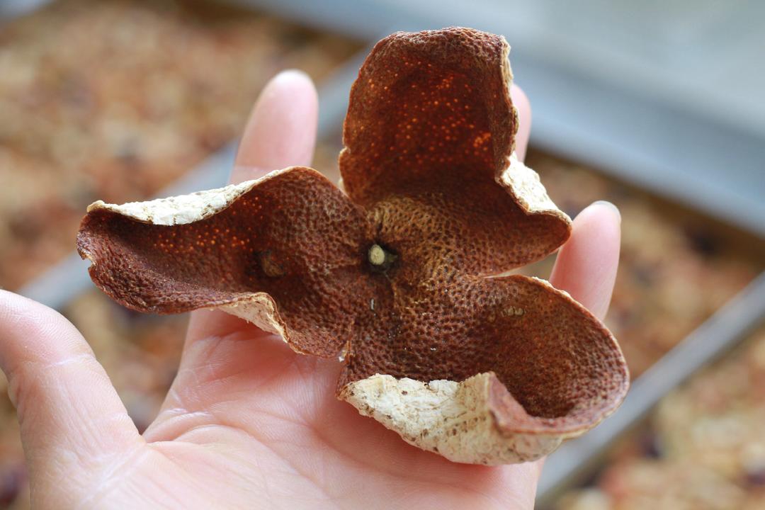 全生晒正宗新会陈皮