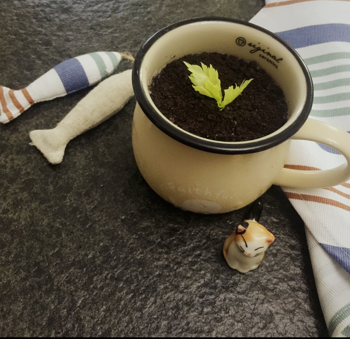 酸奶奥利奥水果盆栽