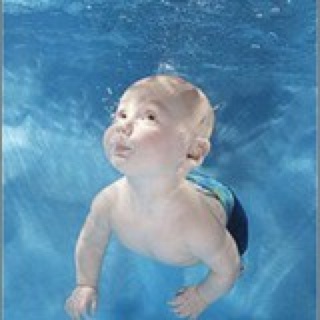 悠哉悠哉阿拉蕾