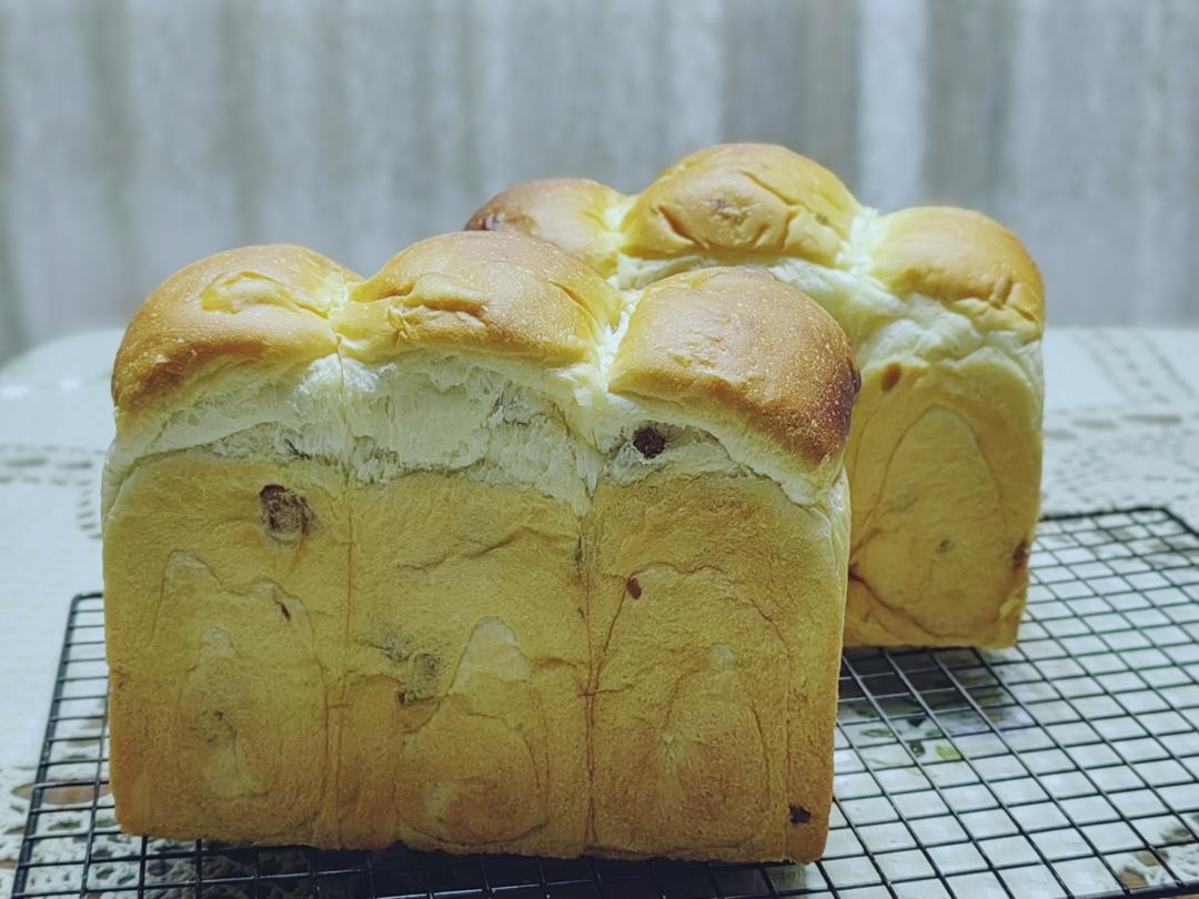 炼乳鲜奶提子吐司｜奶香加倍柔软加倍
