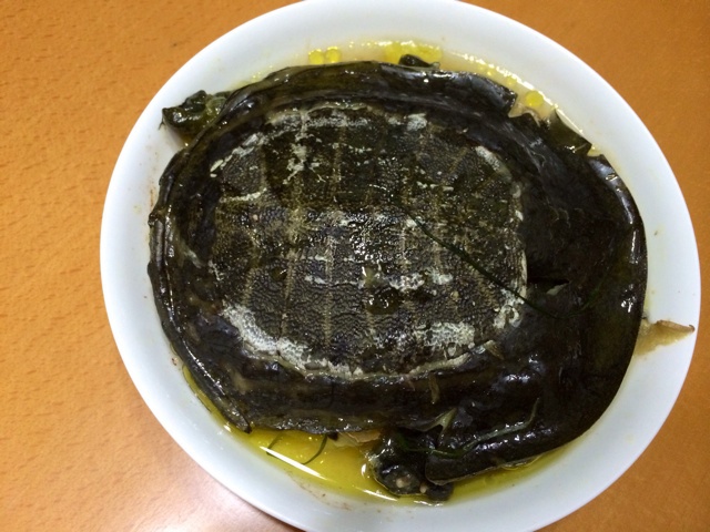 清炖甲鱼