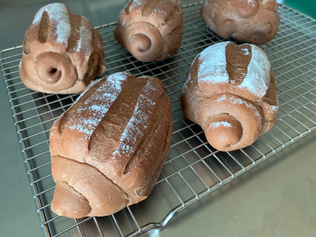 可可牛奶哈斯面包