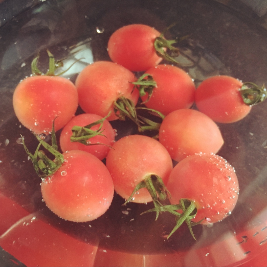 June小陆老师不是老师