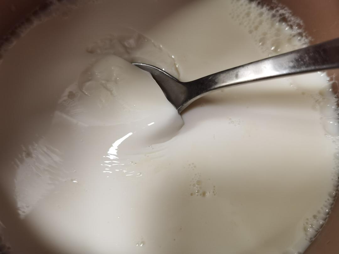 自制豆花、豆腐脑（小美版）附豆渣糯米饼