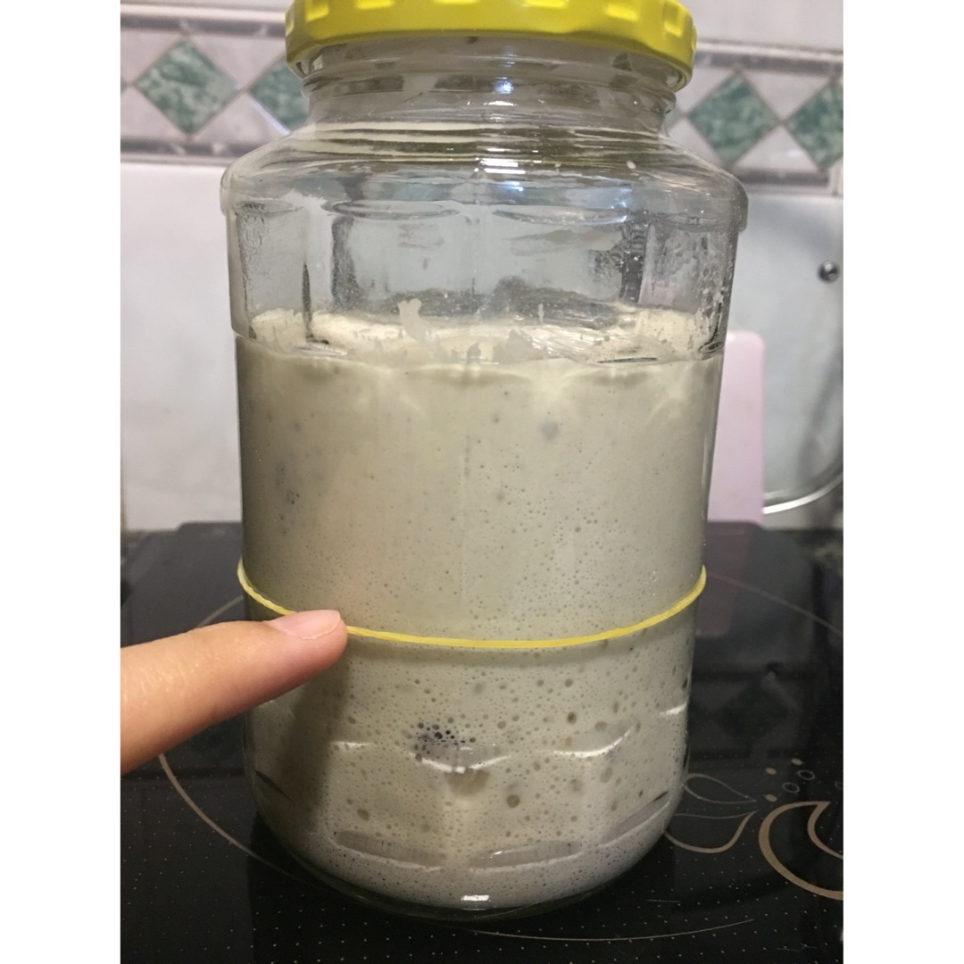 天然酵母宝宝养成记