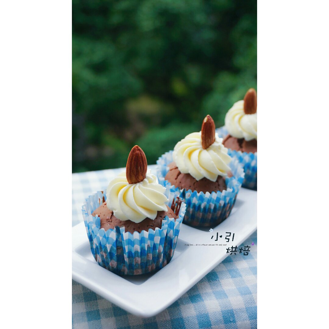 香橙可可杯子蛋糕（特别适合韩式裱花）