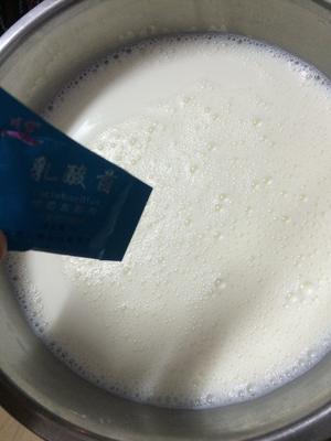 全脂奶粉版酸奶(面包机版)纪录贴的做法 步骤3