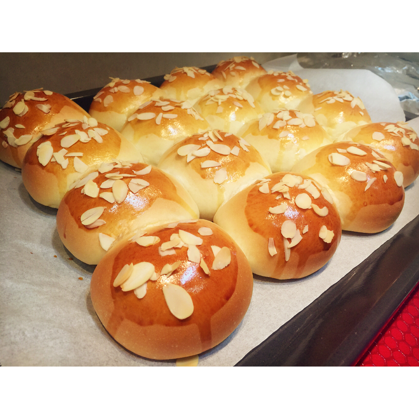 鲜奶油小餐包（一次发酵）