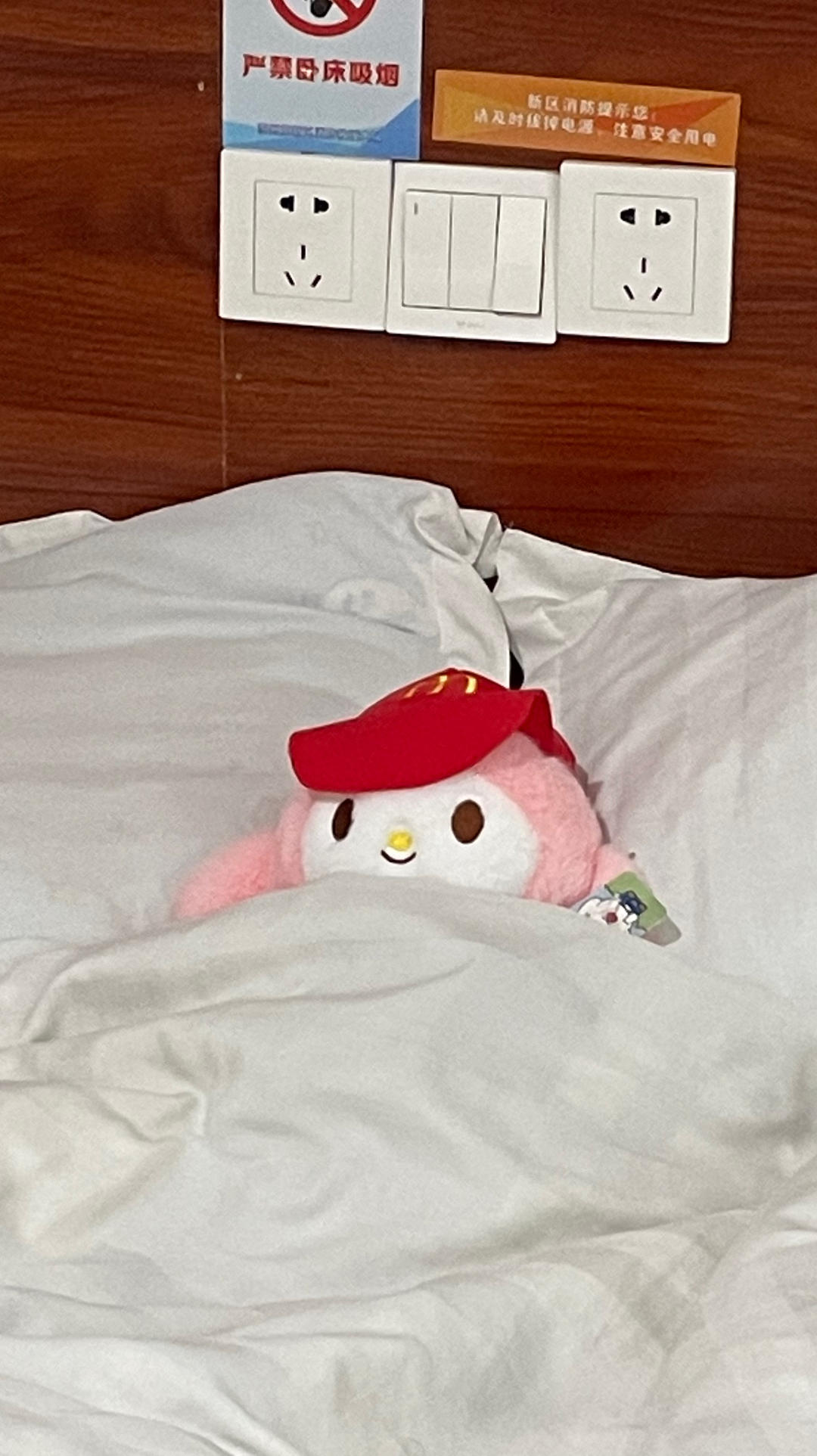 有仙气儿的少女