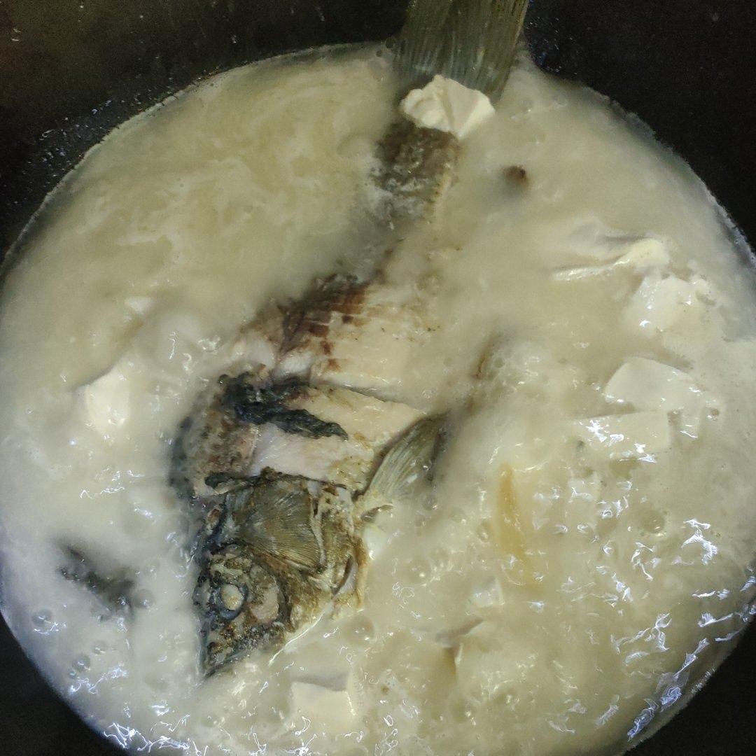 奶白鲫鱼豆腐汤|一条鱼最后的温柔