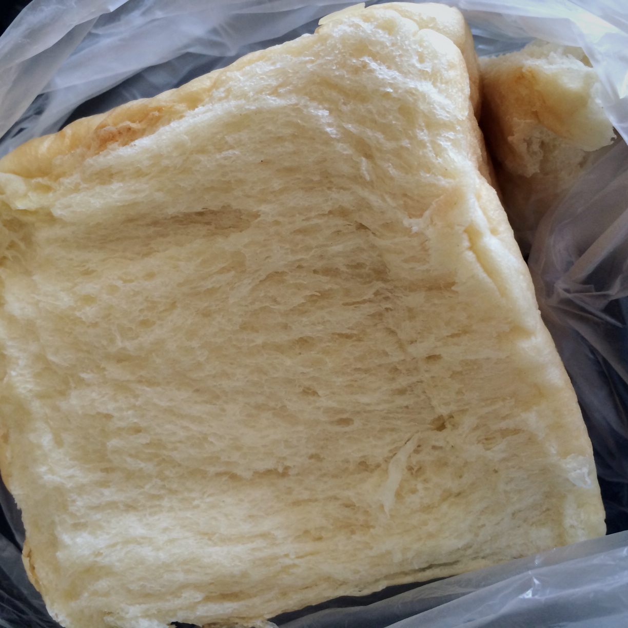 鲜奶油小餐包（一次发酵）