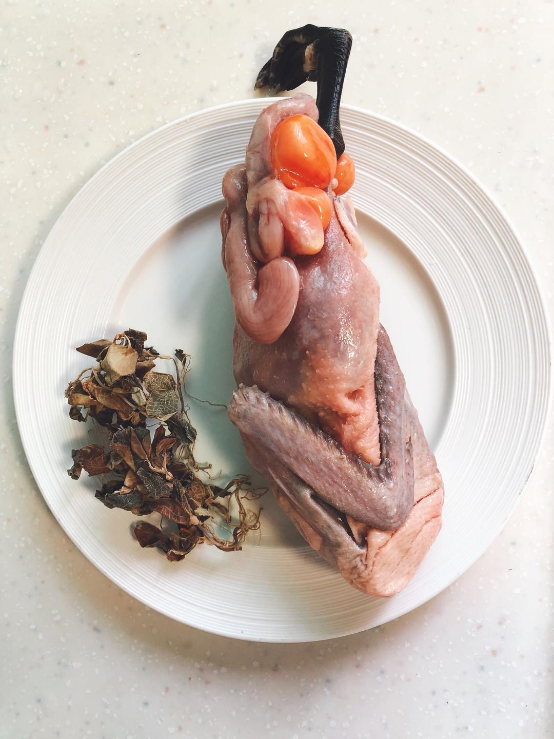 新汤谱！降火消炎，毒疮水痘破破破！热咳肿痛破破破！金线莲白鸭汤了解下！