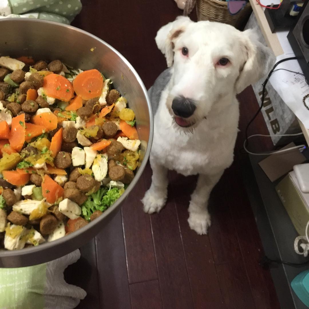 ★宠物食谱★狗狗最爱的什锦杂粮鸡胸肉