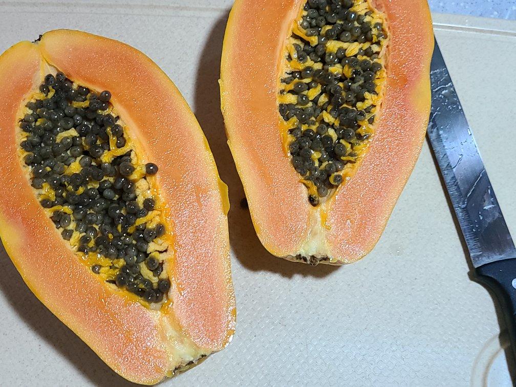 牛奶🥛炖木瓜，喝出好肌肤