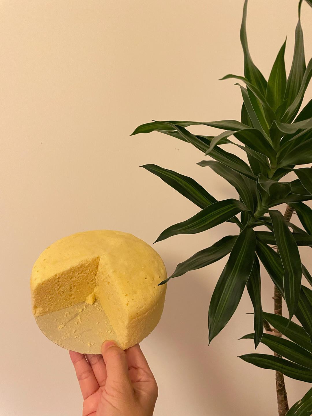 零添加玉米面蒸糕