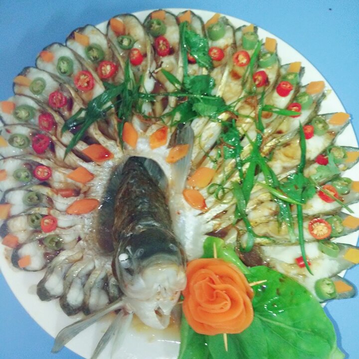 孔雀开屏鱼
