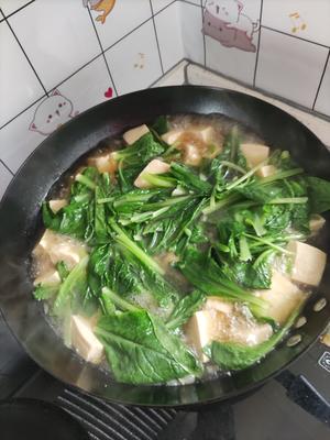 小白菜冻豆腐汤的做法 步骤9