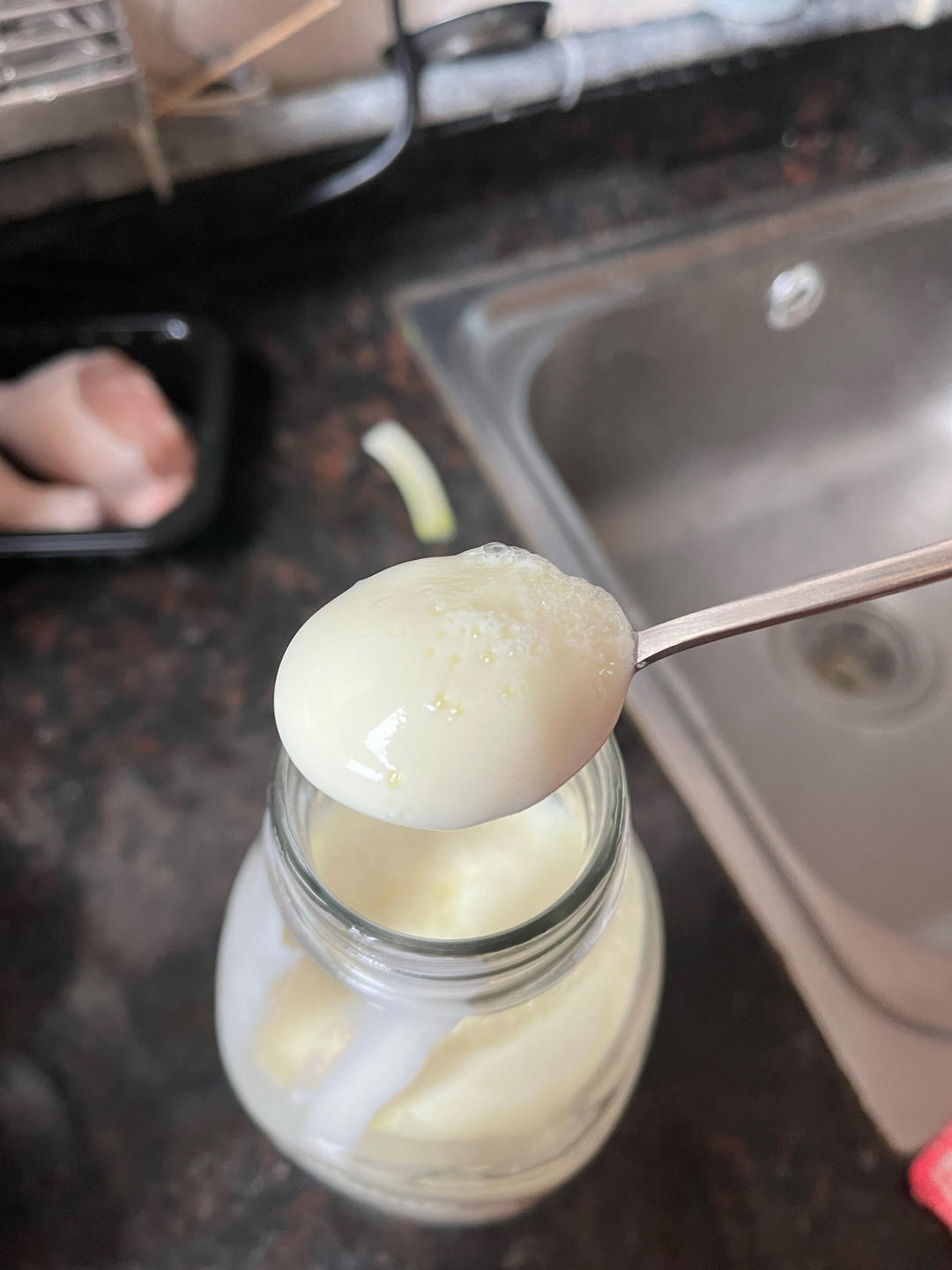 蓝胖子脱脂奶粉无糖版酸奶