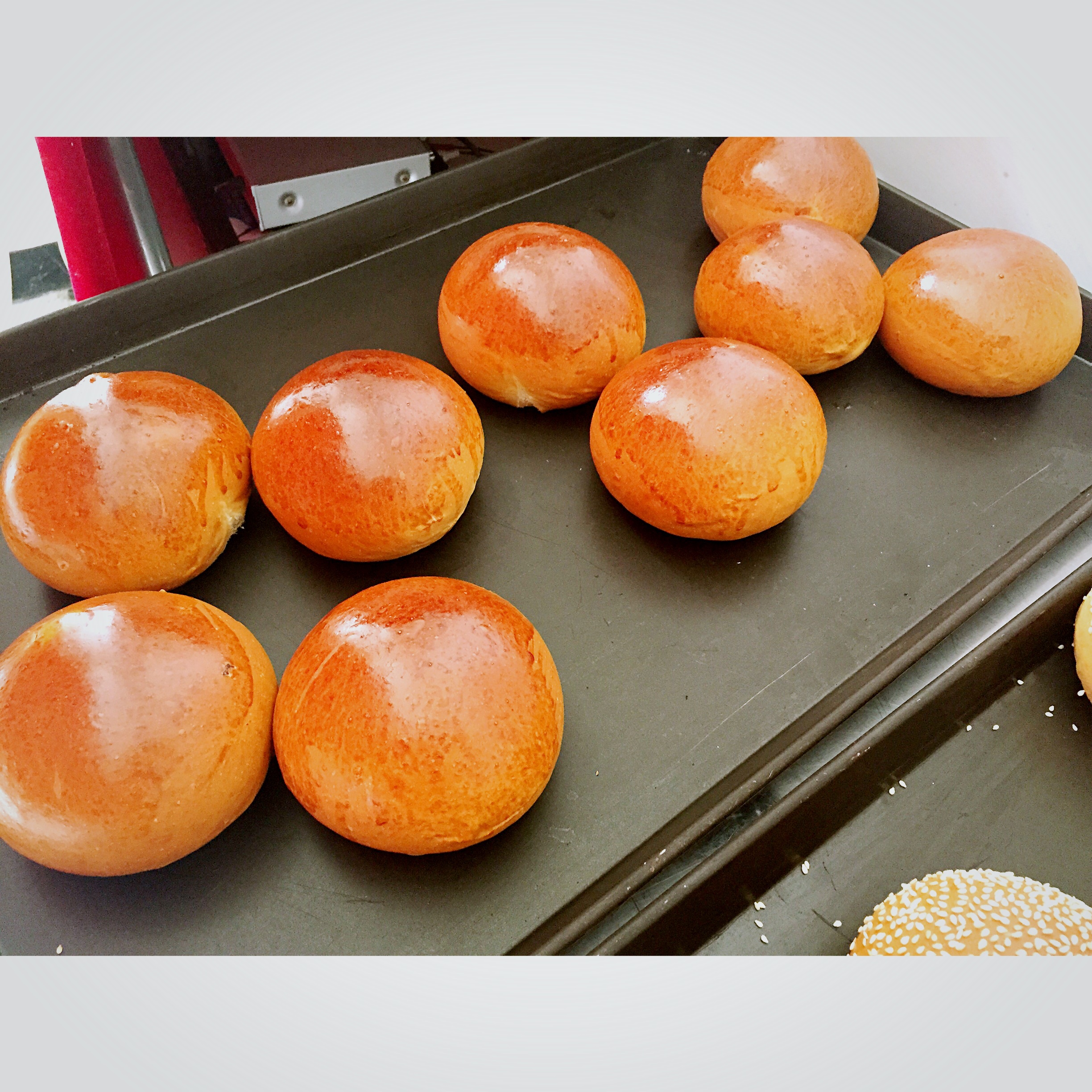 基础面包制作 Basic Bread (Loaf&Roll)