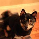 手机用户4183_6kif