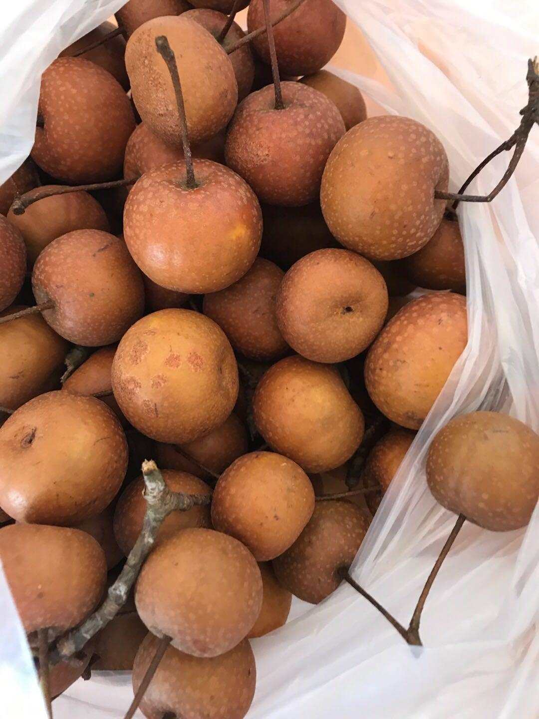 潮州甘草鸟梨
