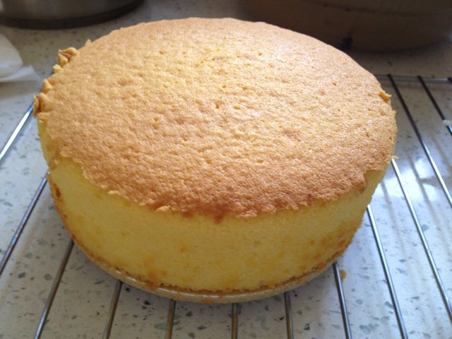 【小嶋rumi】经典海绵蛋糕