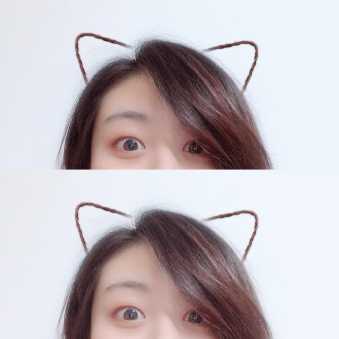 PIPN