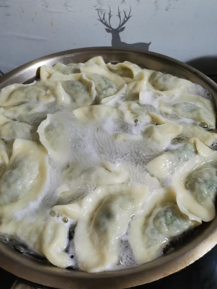 荠菜肉馅饺子