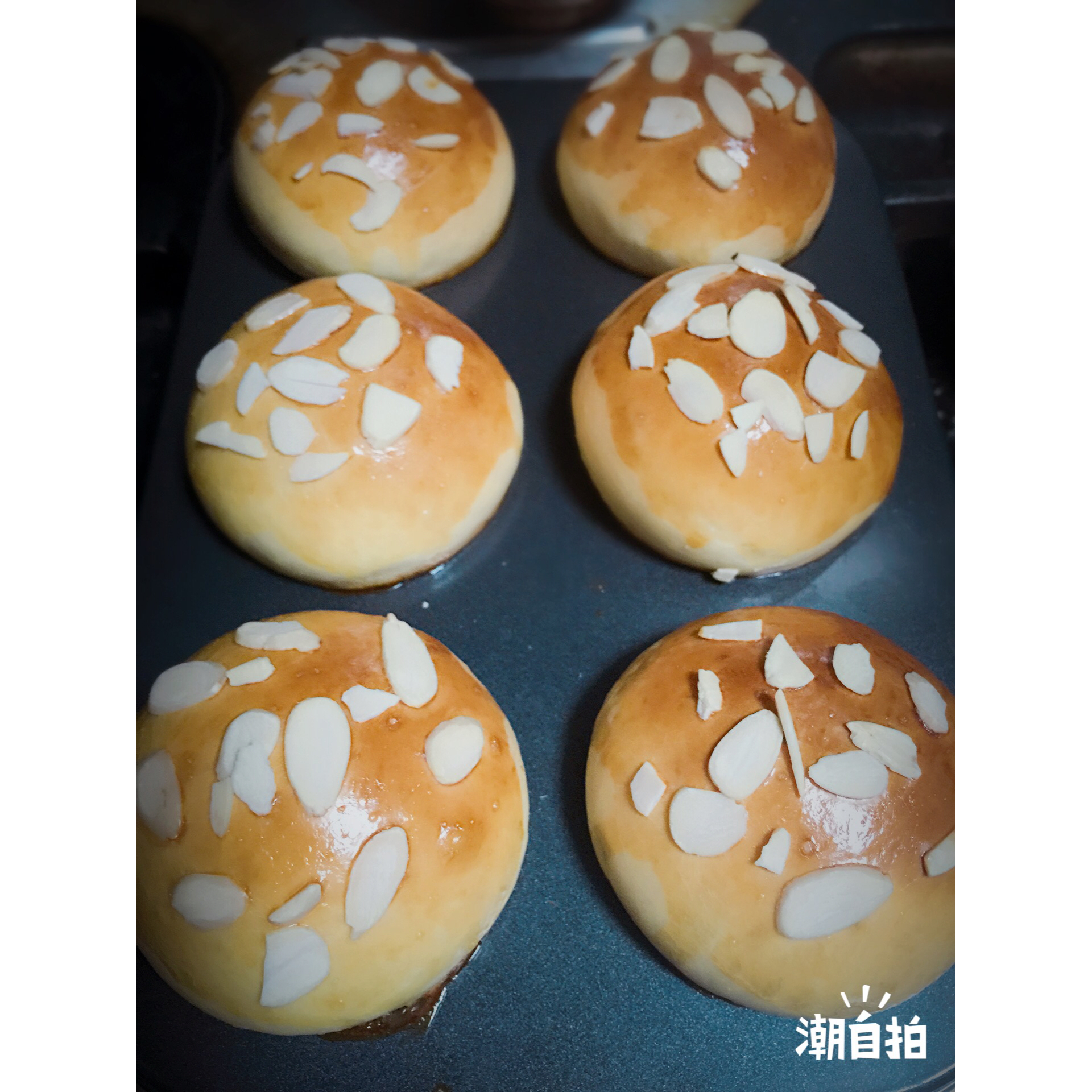 原味蘑菇包（一次性发酵）