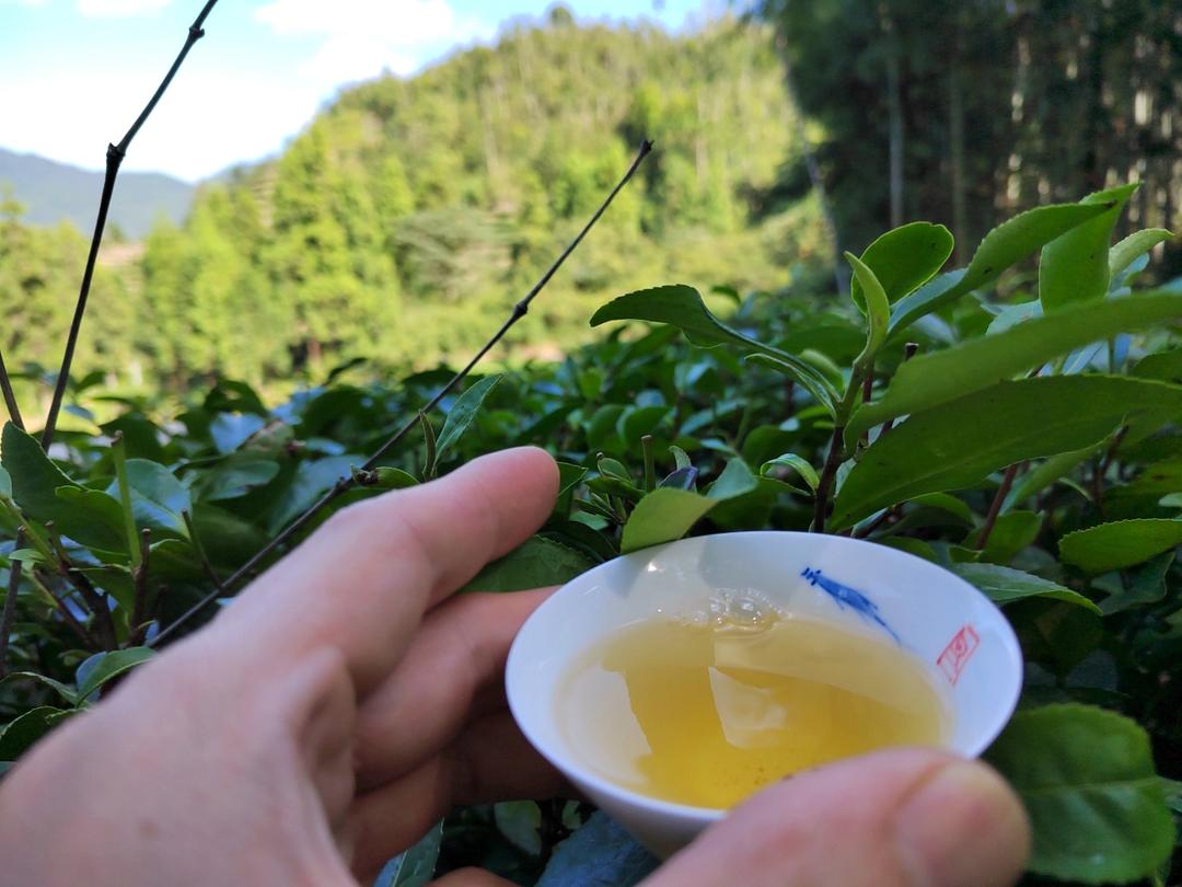 健身减脂饮食｜简单快手北非蛋