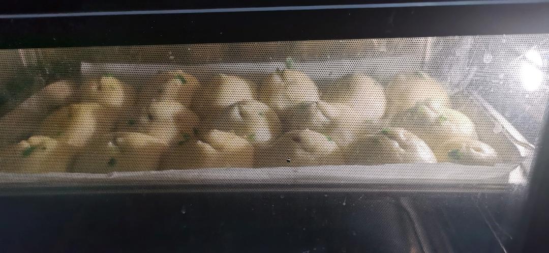 云朵般柔软的土豆餐包