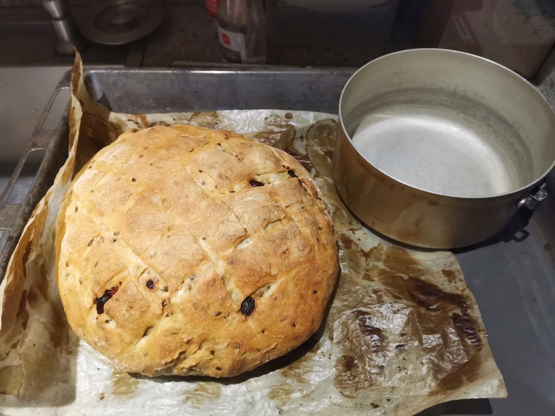 🍞免揉欧包新手入门指南（冷藏发酵、无油无糖）