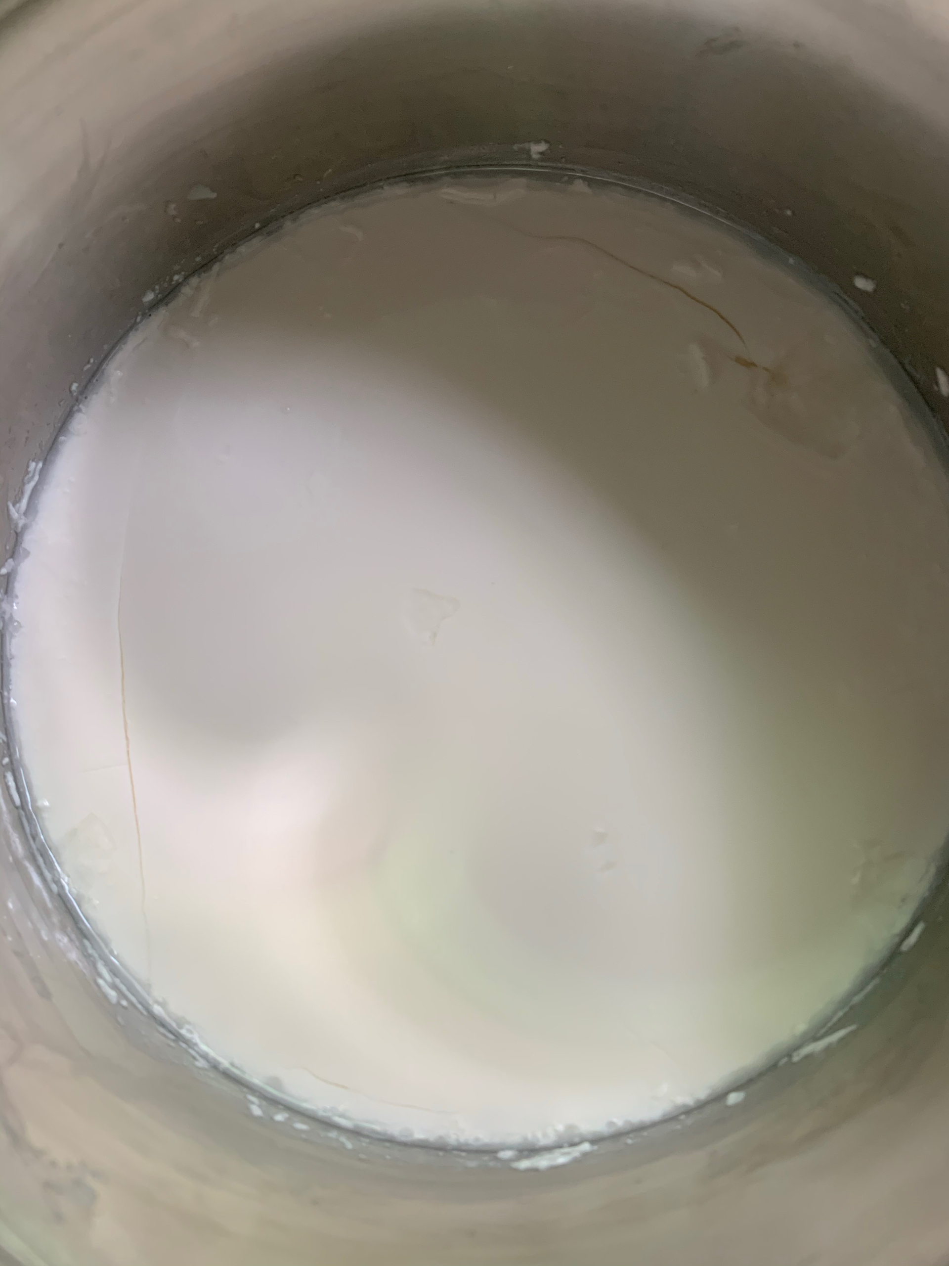 自制浓厚老酸奶＆希腊酸奶