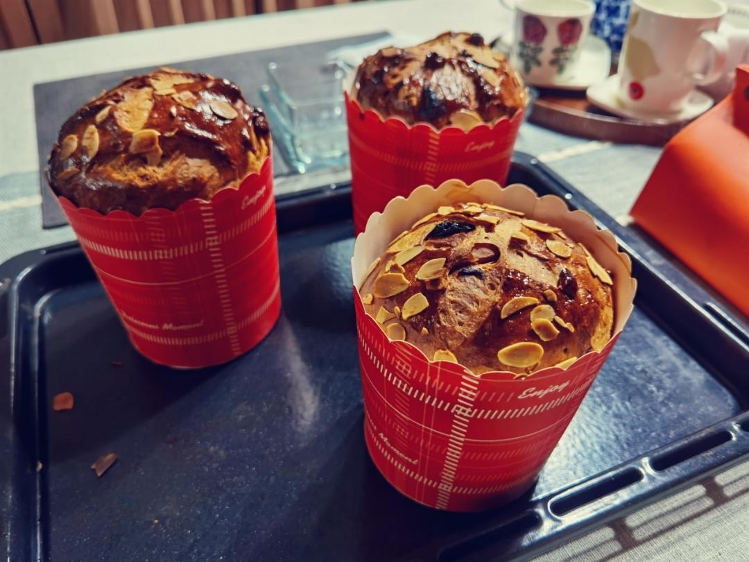 圣诞面包--潘娜托尼Panettone