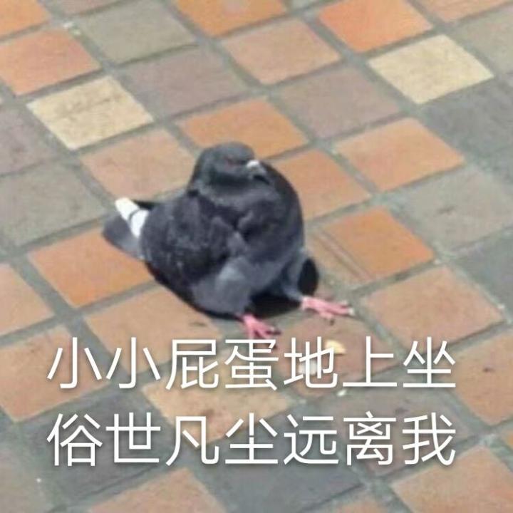 机智小吃货的厨房