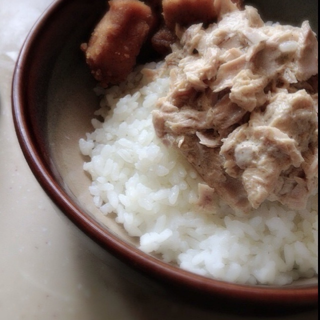 蛋黄酱金枪鱼饭