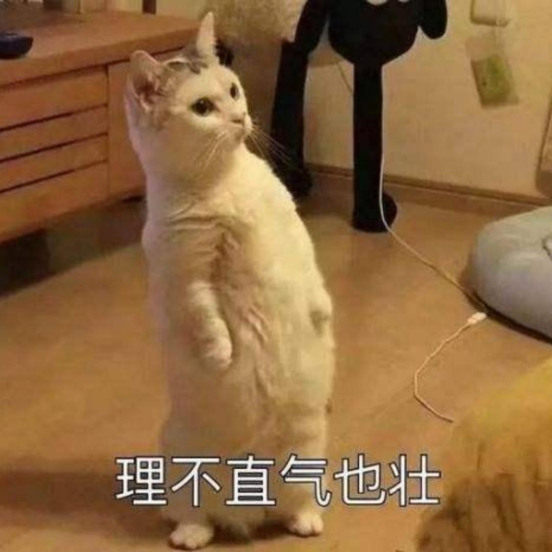 薇宁22