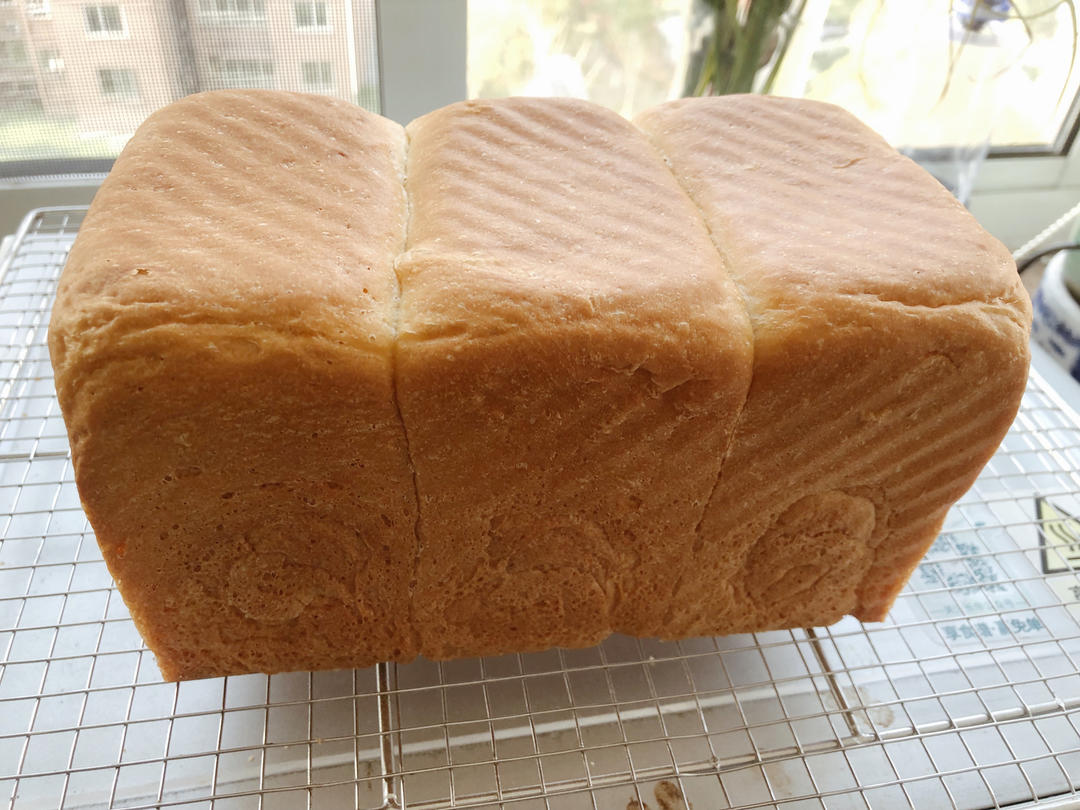 夺命软吐司(๑´ڡ`๑)超软拉丝极速方便的一次发酵吐司