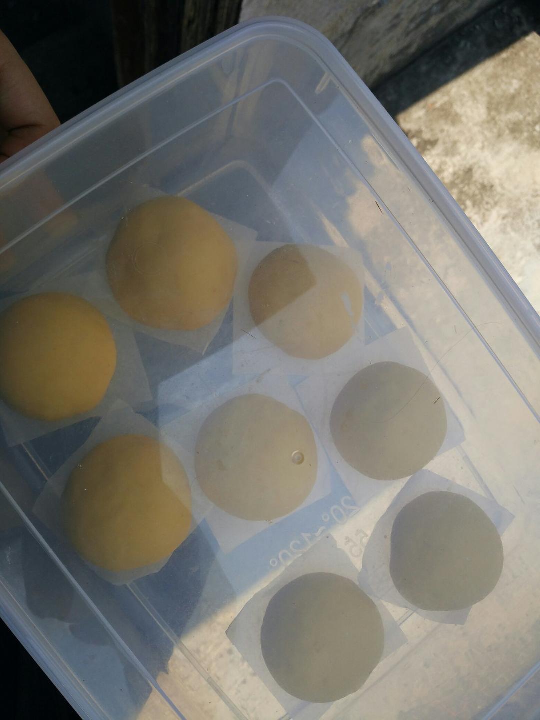 新手也可以--详解如何做出人见人爱、金黄的南瓜馒头