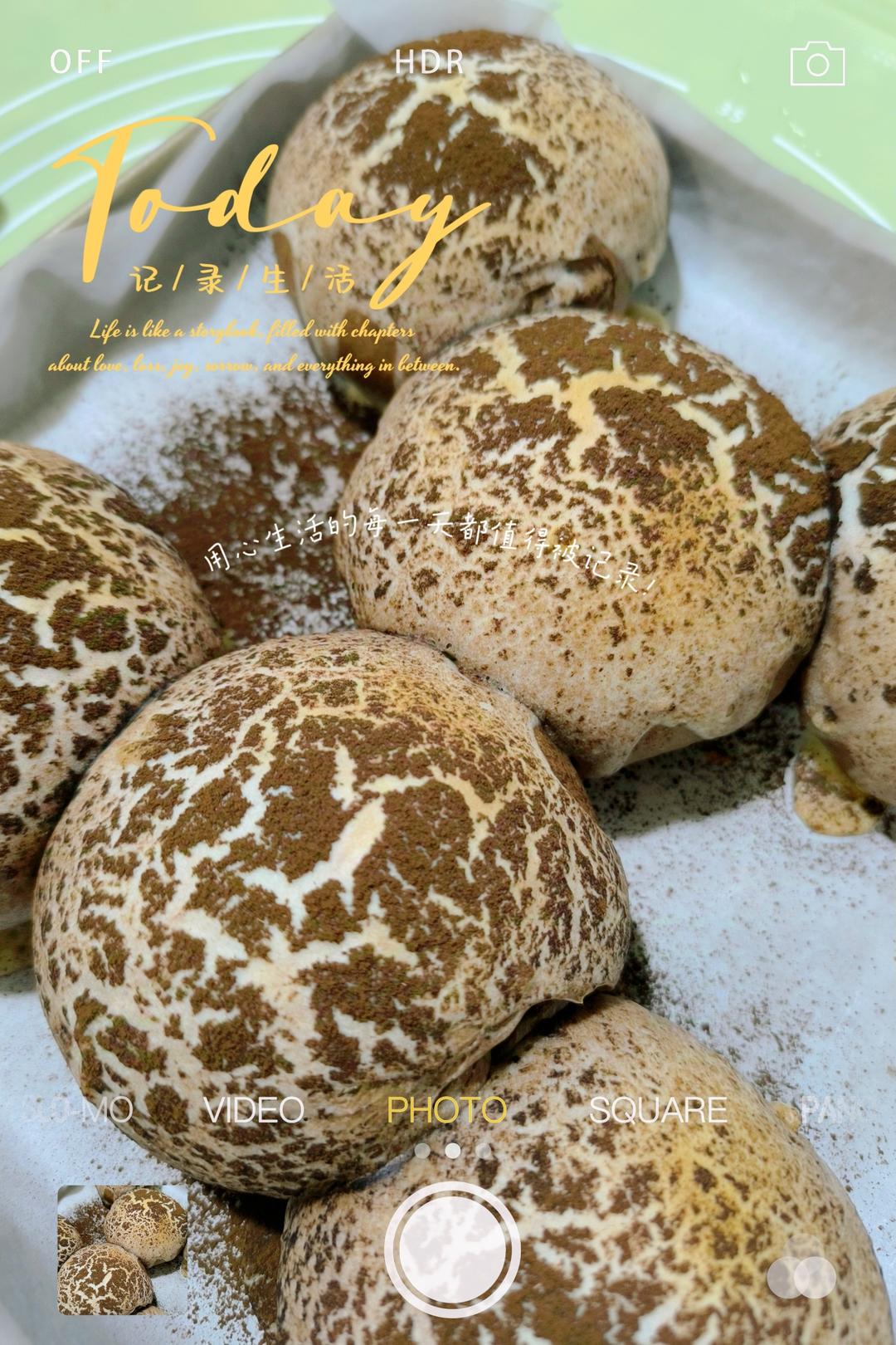 烘焙店畅销的巧克力可可牛奶面包❗️网红蘑菇云面包‼️松软好吃孩子最爱