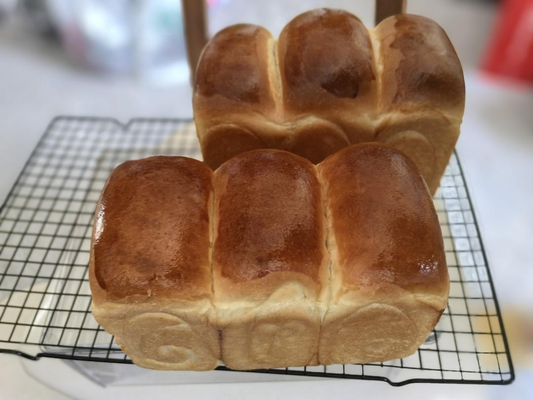 椰浆吐司🍞一次发酵