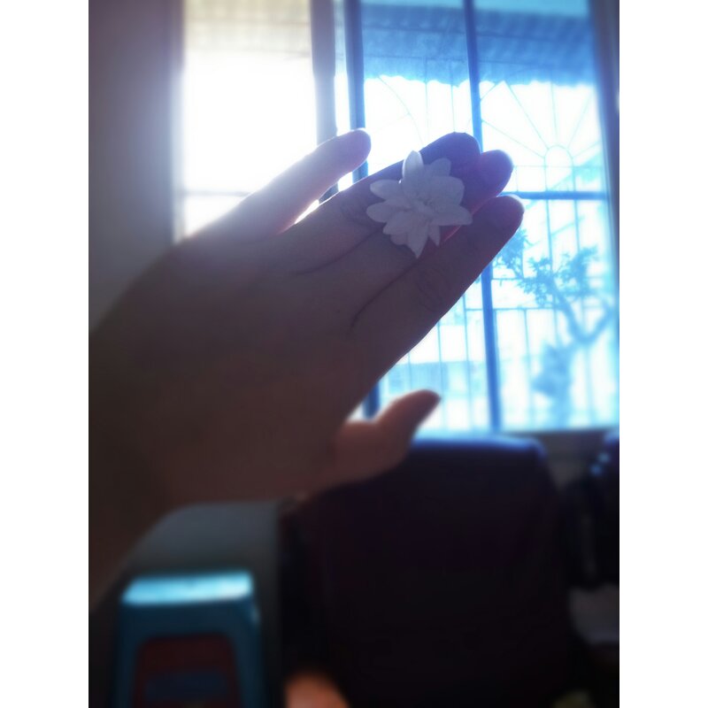 麟珑心